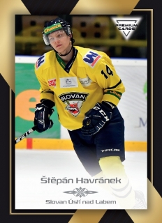 20-21 Premium Cards - Štěpán HAVRÁNEK č. 66
