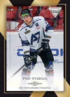 20-21 Premium Cards - Petr FRIDRICH č. 89