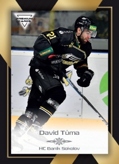 20-21 Premium Cards - David TŮMA č. 95