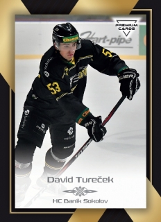 20-21 Premium Cards - David TUREČEK č. 96
