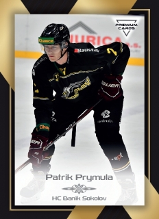 20-21 Premium Cards - Patrik PRYMULA č. 114