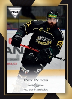 20-21 Premium Cards - Petr PŘINDIŠ č. 115