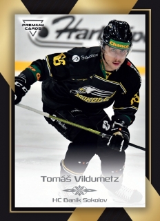 20-21 Premium Cards - Tomáš VILDUMETZ č. 117