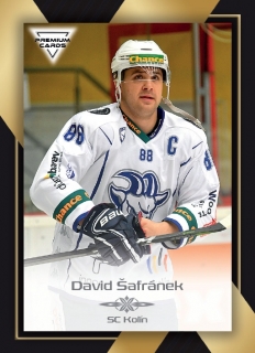 20-21 Premium Cards - David ŠAFRÁNEK č. 121