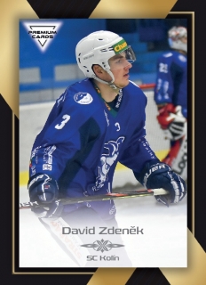 20-21 Premium Cards - David ZDENĚK č. 122