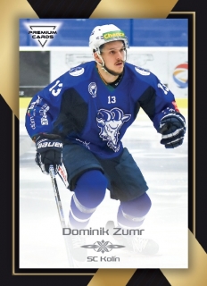 20-21 Premium Cards - Dominik ZUMR č. 123