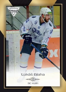 20-21 Premium Cards - Lukáš BLAHA č. 131