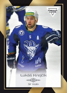 20-21 Premium Cards - Lukáš KREJČÍK č. 132