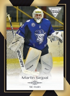20-21 Premium Cards - Martin SEJPAL č. 134