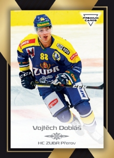20-21 Premium Cards - Vojtěch DOBIÁŠ č. 188