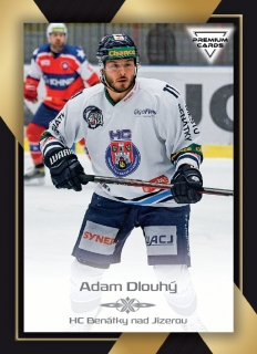 20-21 Premium Cards - Adam DLOUHÝ č. 189