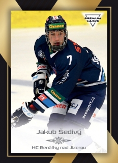 20-21 Premium Cards - Jakub ŠEDIVÝ č. 195