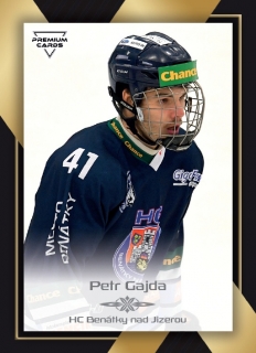 20-21 Premium Cards - Petr GAJDA č. 201