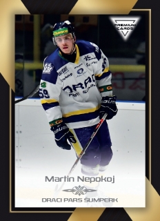 20-21 Premium Cards - Martin NEPOKOJ č. 219