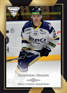 20-21 Premium Cards - Stanislav DOSEK č. 223