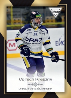 20-21 Premium Cards - Vojtěch KREJČIŘÍK č. 227