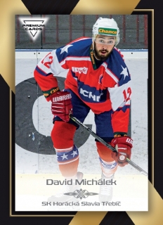 20-21 Premium Cards - David MICHÁLEK č. 229