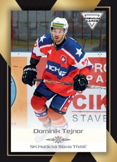 20-21 Premium Cards - Dominik TEJNOR č. 230