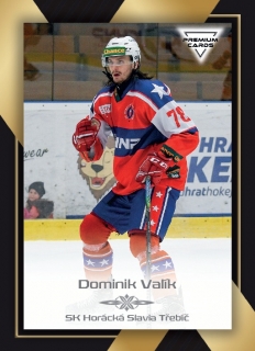 20-21 Premium Cards - Dominik VALÍK č. 231