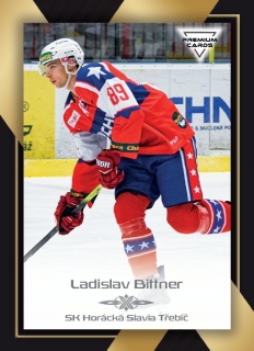 20-21 Premium Cards - Ladislav BITTNER č. 234