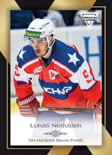 20-21 Premium Cards - Lukáš NEDVÍDEK č. 236