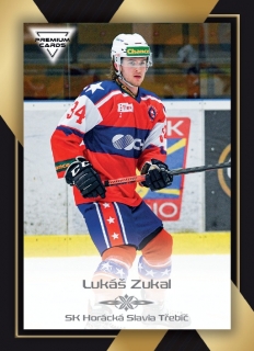 20-21 Premium Cards - Lukáš ZUKAL č. 237