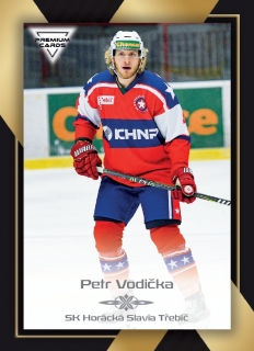 20-21 Premium Cards - Petr VODIČKA č. 245