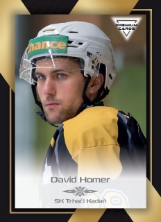 20-21 Premium Cards - David HOMER č. 253