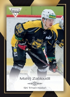 20-21 Premium Cards - Matěj ZABLOUDIL č. 260