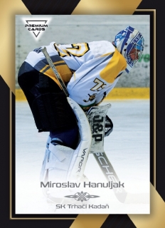 20-21 Premium Cards - Miroslav HANULJAK č. 262