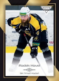20-21 Premium Cards - Radek HAVEL č. 263