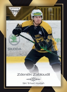 20-21 Premium Cards - Zdeněk ZABLOUDIL č. 269