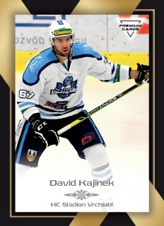 20-21 Premium Cards - David KAJÍNEK č. 271