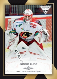 20-21 Premium Cards - Adam WOLF č. 292