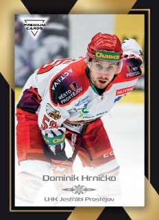 20-21 Premium Cards - Dominik HRNÍČKO č. 294