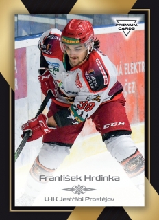 20-21 Premium Cards - František HRDINKA č. 295