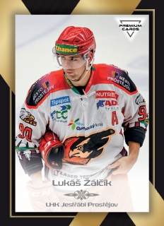 20-21 Premium Cards - Lukáš ŽÁLČÍK č. 299