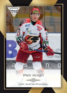 20-21 Premium Cards - Petr KREJČÍ č. 303