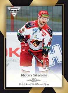 20-21 Premium Cards - Robin STANĚK č. 306