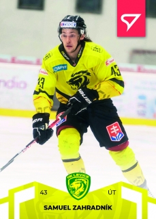22-23 Tipos SHL - Samuel ZAHRADNÍK č. 141