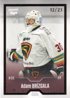 22-23 GOAL Cards - Adam BRÍGALA č. 245 GOLD x/23