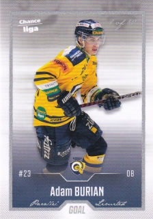 22-23 GOAL Cards - Adam BURIAN č. 493 SILVER x/60