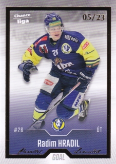 22-23 GOAL Cards - Radim HRADIL č. 446 GOLD x/23