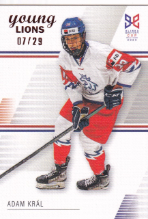 YOUNG LIONS U18 HLINKA/GRETZKY CUP 2023 - Adam KRÁL č. 8 Canvas x/29