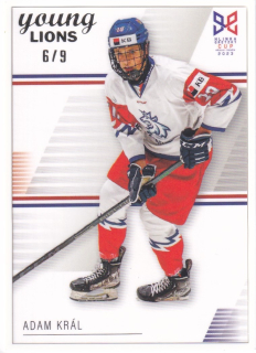 YOUNG LIONS U18 HLINKA/GRETZKY CUP 2023 - Adam KRÁL č. 8 Frame White x/9