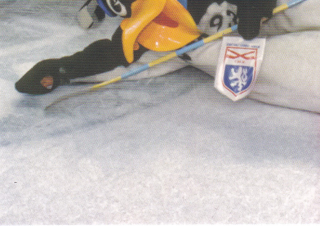 Bronze Medail Memories 1993 30th Anniversary - TEAM PHOTO č. TP-08