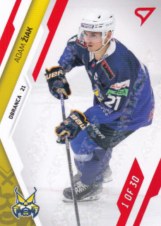 23-24 Tipos Extraliga - Adam ŽIAK č. 045 GOAL LIGHT 1of30