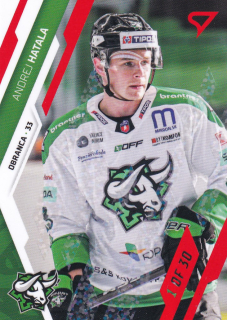 23-24 Tipos Extraliga - Andrej HATALA č. 110 GOAL LIGHT 1of30