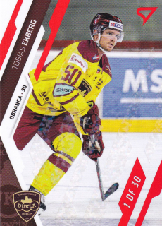 23-24 Tipos Extraliga - Tobias EKBERG č. 165 GOAL LIGHT 1of30