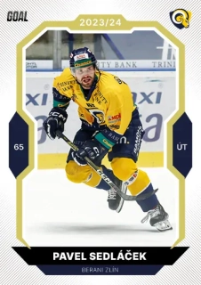 23-24 GOAL Cards - Pavel SEDLÁČEK č. 209 GOLD 1of20